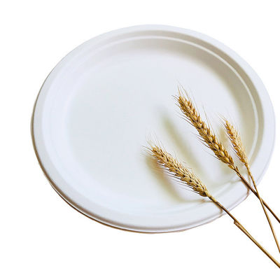 Плита способная к возрождению Pfas Tableware багассы 8in 10in Biodegradable свободное принимает вне контейнеры