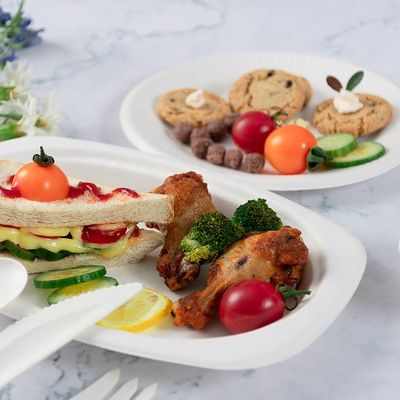 Плиты Eco зеленого 100% Biodegradable Compostable Tableware партии дружелюбные устранимые