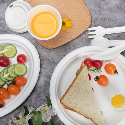 Плиты Eco зеленого 100% Biodegradable Compostable Tableware партии дружелюбные устранимые
