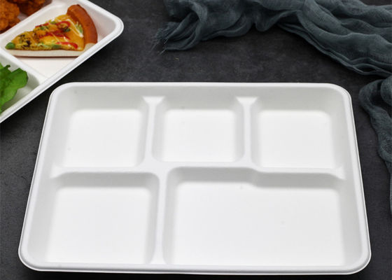Tableware багассы школы устранимый Biodegradable 6 5 поднос обеда 3 отсеков