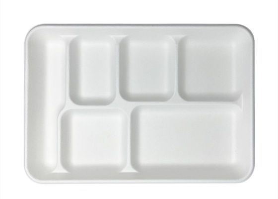 Tableware багассы школы устранимый Biodegradable 6 5 поднос обеда 3 отсеков