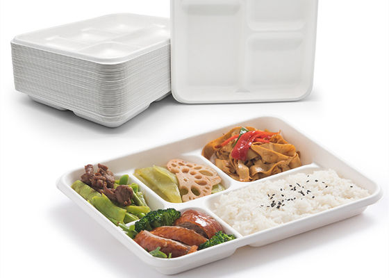 Tableware багассы школы устранимый Biodegradable 6 5 поднос обеда 3 отсеков