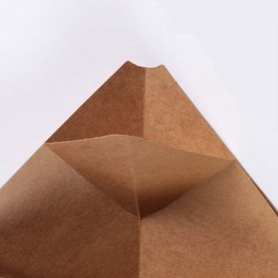Pe покрыло французский картофель фри завертывает коробку в бумагу Kraft устранимых чашек конуса бумажную с соусом