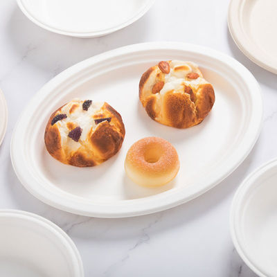 Плита способная к возрождению Pfas Tableware багассы 8in 10in Biodegradable свободное принимает вне контейнеры