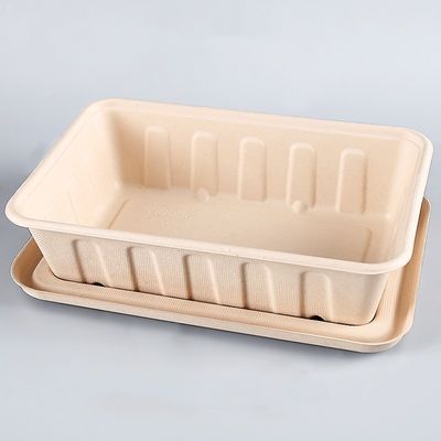фаст-фуд салата Tableware багассы 450ml 550ml естественный Eco Biodegradable, который нужно пойти контейнеры