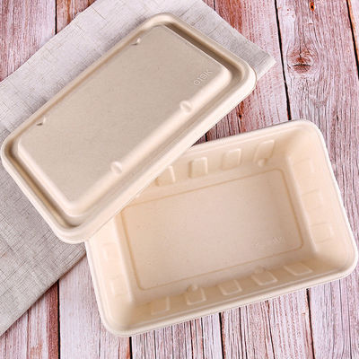 фаст-фуд салата Tableware багассы 450ml 550ml естественный Eco Biodegradable, который нужно пойти контейнеры