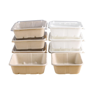 фаст-фуд салата Tableware багассы 450ml 550ml естественный Eco Biodegradable, который нужно пойти контейнеры