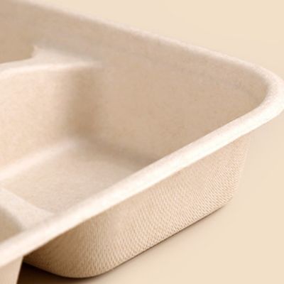 Устранимые прямоугольные Biodegradable подносы багассы сахарного тростника принимают отсутствующие подносы с крышками