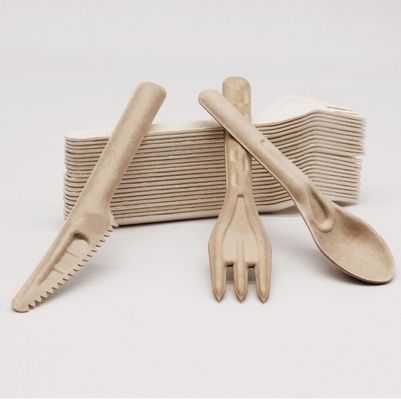 Вилки и ложки столового прибора 141.7mm Eco Biodegradable багассы дружелюбные устранимые Compostable