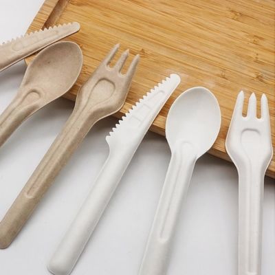 Вилки и ложки столового прибора 141.7mm Eco Biodegradable багассы дружелюбные устранимые Compostable
