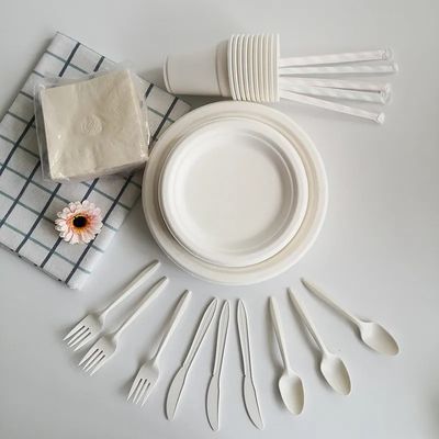 Столовый прибор плит Eco устойчивый Compostable устранимый устранимый принимает вне пищевые контейнеры