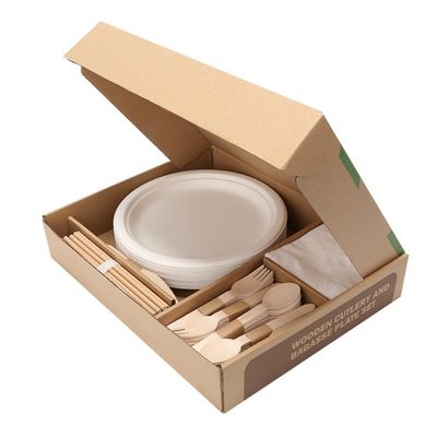 Набор Tableware гостиницы Tableware партии пляжа 40 человек располагаясь лагерем Compostable