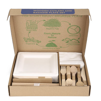 Набор Tableware гостиницы Tableware партии пляжа 40 человек располагаясь лагерем Compostable