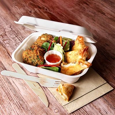 коробка бенто обеда пульпы багассы Tableware партии Dinnerware 600ml 1000ml Compostable