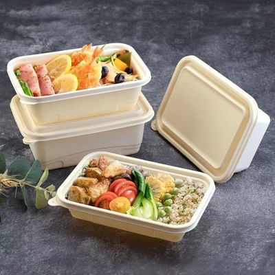 Коробка устранимого Compostable фаст-фуда коробки для завтрака еды майцены 500 600ML упаковывая